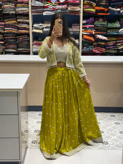 Heavy Lehenga blouse set: 0069